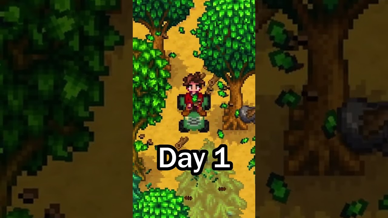 When You Download Mods In Stardew Valley