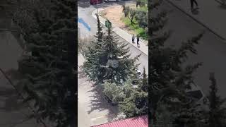 Okuldaki̇ O Kn Donduran Kaçiş Anlari