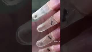 Hormigas en Uñas #shorts #viral