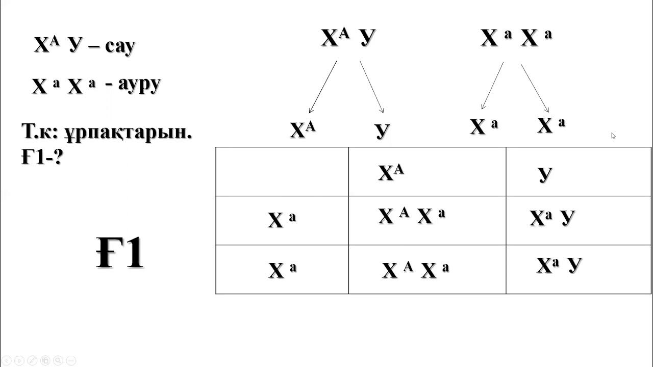 Мен камераға кискамды көрсетемін