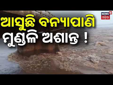 ଆସୁଛି ବନ୍ୟା ପାଣି | ମୁଣ୍ଡଳିରେ ହଲ୍‌ଚଲ୍‌ ! Hirakud Flood Update | Mundali Flood News | Mahanadi Flood