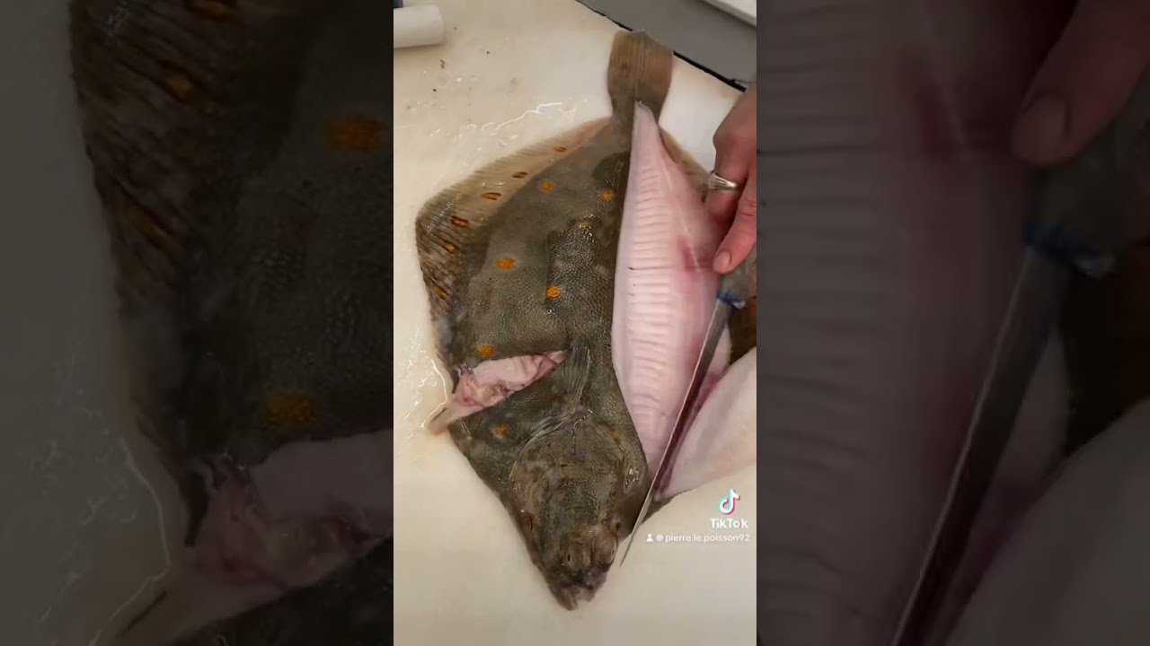 Preparation du Carrelet en filet, on le distingue avec ces taches orange 