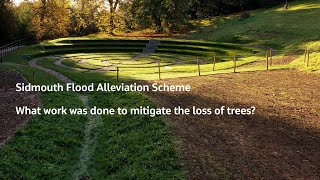 Sidmouth Flood Alleviation Scheme - What work was done to mitigate the loss of trees?