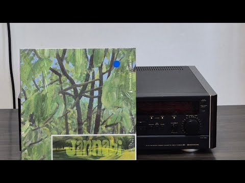 잔나비 - 슬픔이여안녕 [LP 녹음]