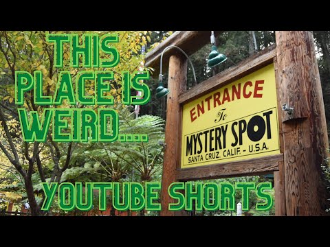 Video: Santa Cruz Mystery Spot: Tourist Trap or Must-Do Sight?