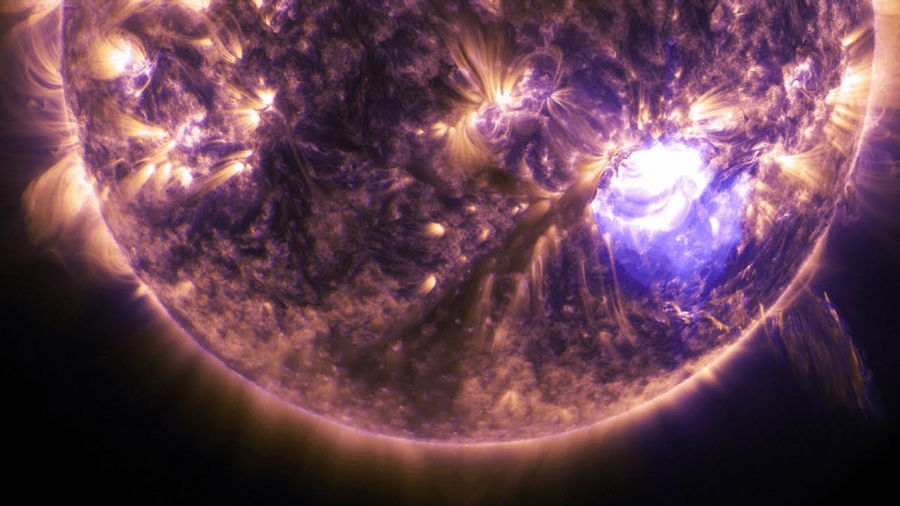 The Stellar Life Cycle: From Birth to Farewell