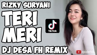 Teri Meri Remix DJ TikTok 2020