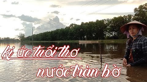 giăng lưới mùa nước nổi,1 bầu trời tuổi thơ, kí ức quê hương miền tây