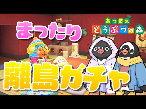 【あつ森】冬のんびり離島ガチャ【ペンペン夫婦のあつ森配信】