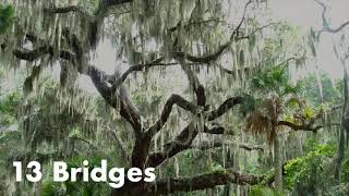 13 Bridges