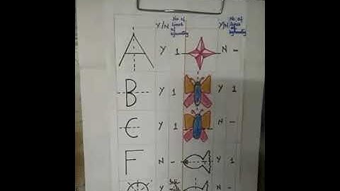 Does it look the same? Mirror half and line of symmetry