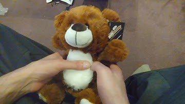 How to use the BooBuddy The Interactive Talking Bear for Ghost Hunting