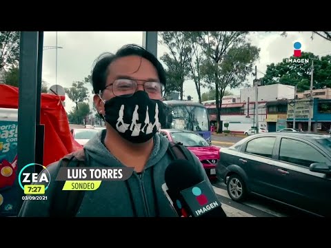 Esto opinan los