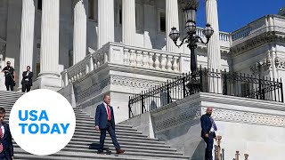 Lobbying and U.S. politics: How does it work? | USA TODAY