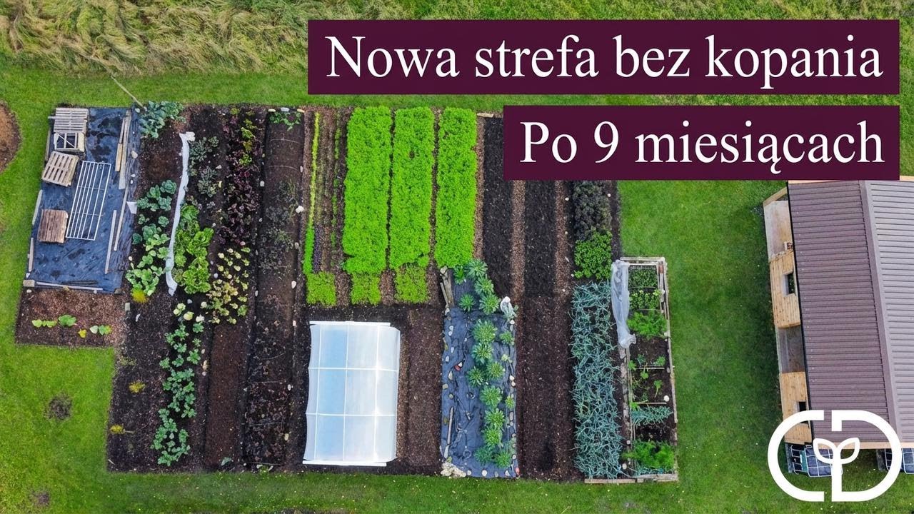 Nowa strefa bez kopania – efekty po 9 miesiącach
