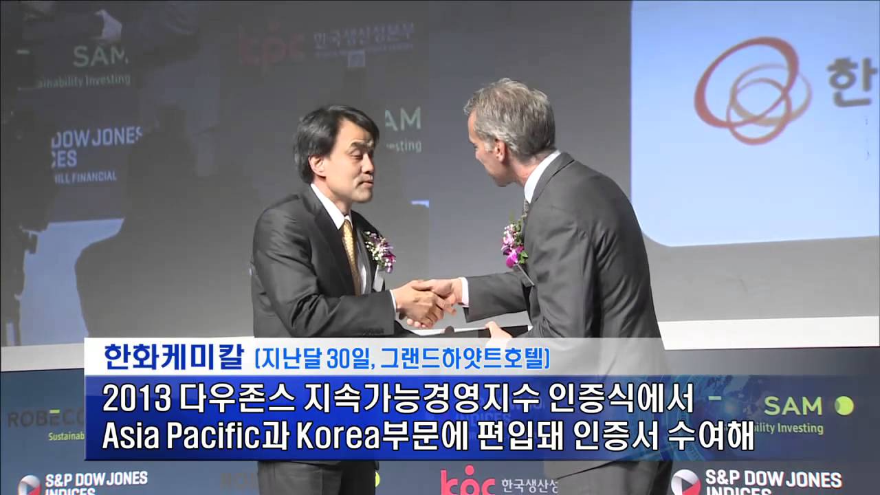 2013 다우존스 지속가능경영지수