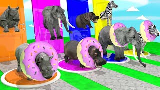 Choose the Right Door Donut Challenge with Zebra Elephant Max Level Animation Run Animals Game