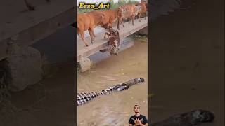 Buaya siap menerkam sapi yang jatuh ke sungai #animals #shortsviral #shorts
