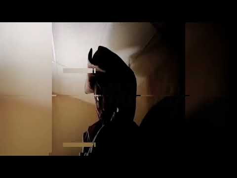 TRICKY DISCO HARDTEKK - DJ BEATCOIN, SLVSHY, project alpha (ULTRA SLOWED )