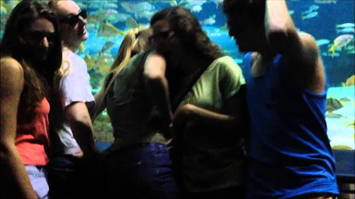 Cary Academy Class of 2015 "Fabulous"