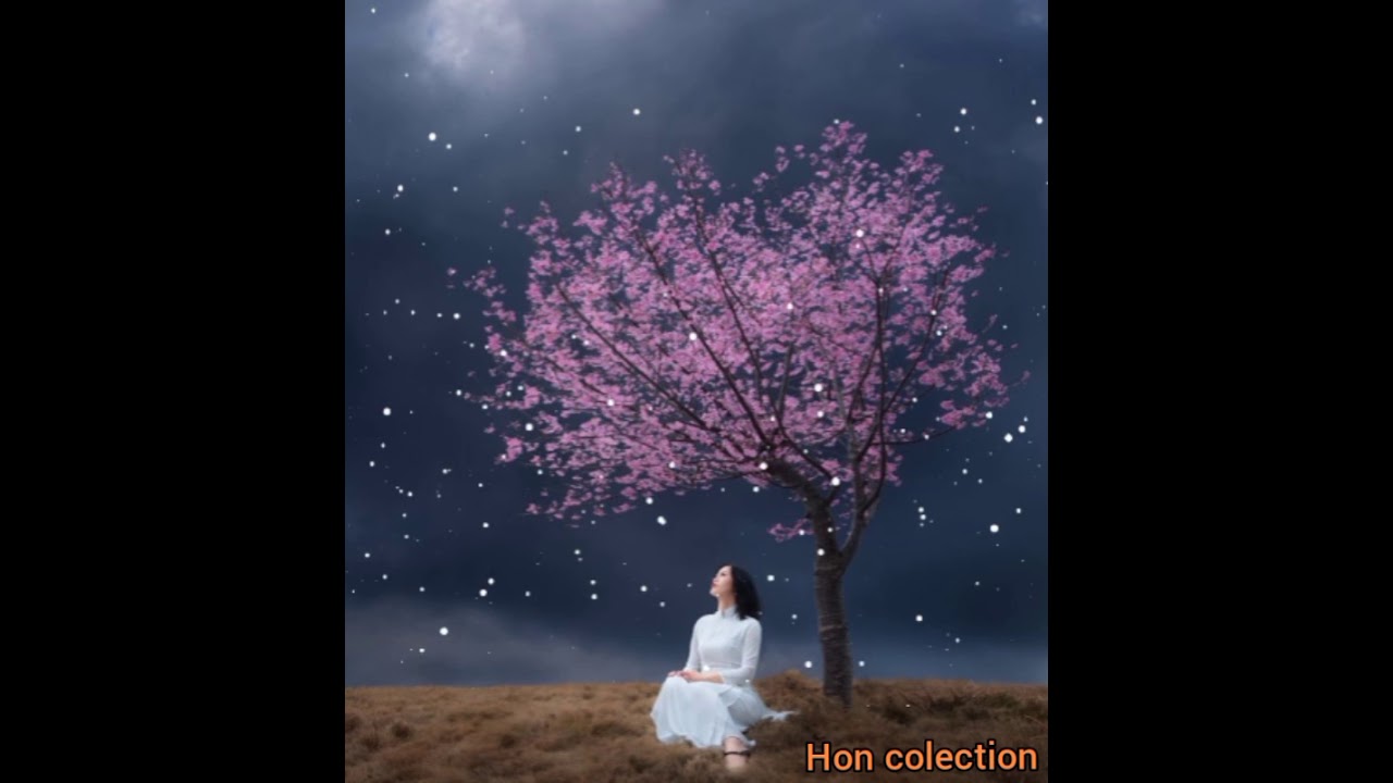 (亚男) (有多少爱可以重来)(Yà nán) (yǒu duōshǎo ài kěyǐ chóng lái)