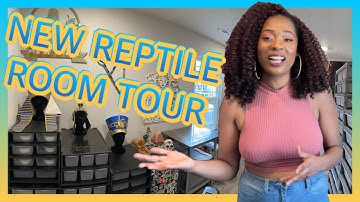 NEW REPTILE ROOM TOUR!! | FIRST VIDEO OF 2022 | BALL PYTHON BREEDER | PRECIOUS PYTHONS