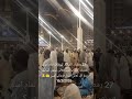 سب امین بولو