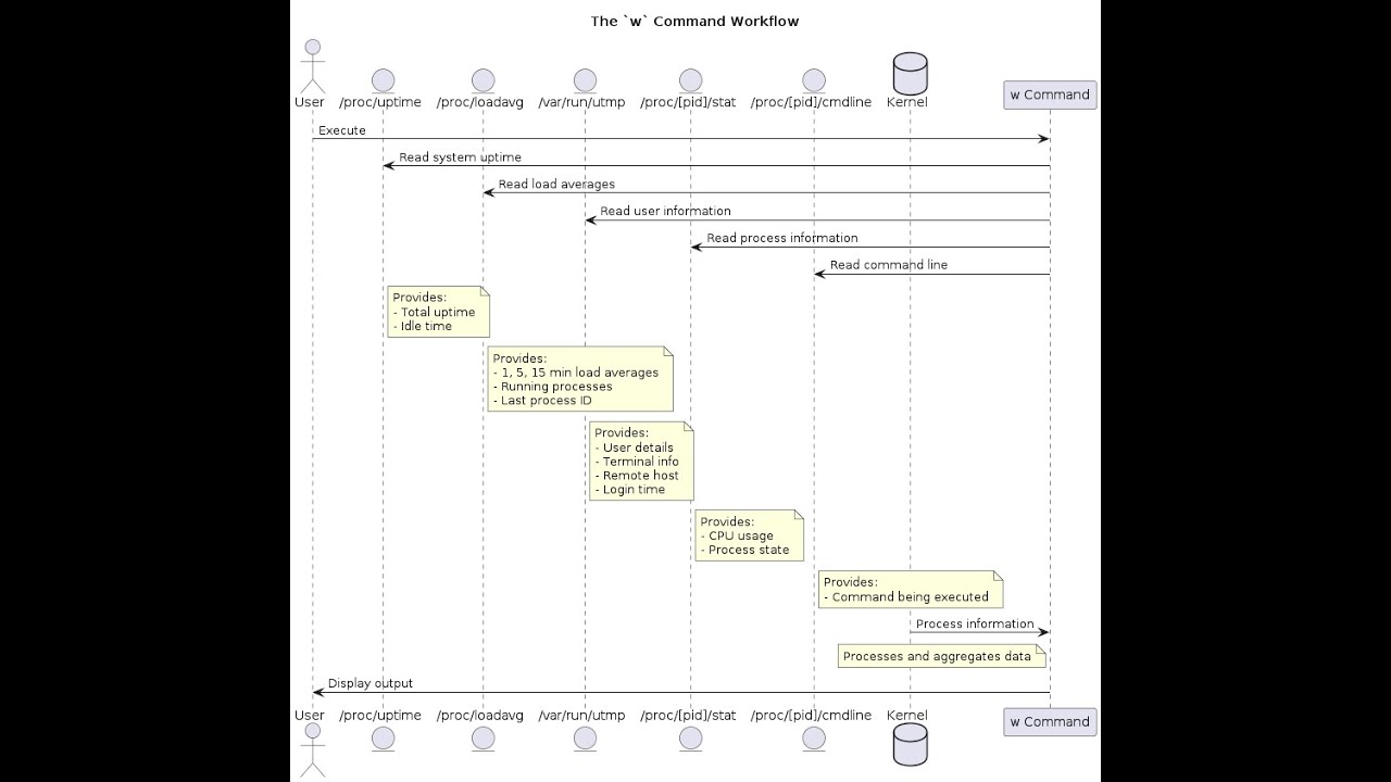I Know How The W Command Works In Linux Or I Might Need To Reconsider i-know-how-the-w-command-works-in-linux-or-i-might-need-to-reconsider