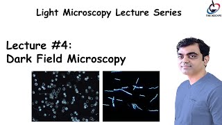 Project 4: Dark Field Microscopy