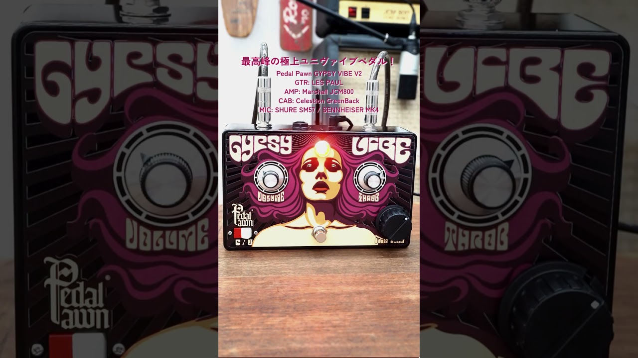 Pedal Pawn GYPSY VIBE ユニバイブ系エフェクター 名機 Pedal Pawn