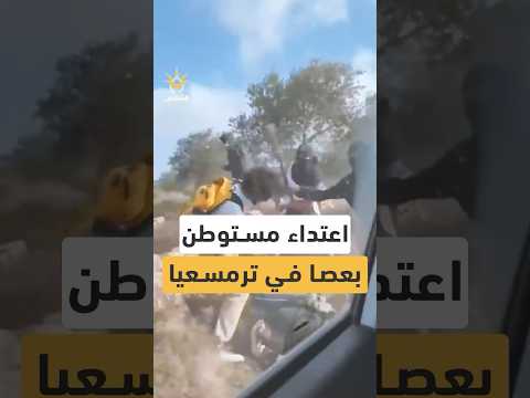 مواطنة من ترمسعيا تصاب بثقب في الجمجمة بعد اعتداء مستوطن أثناء قطف الزيتون