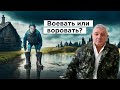 За что наши дети воюют? Воевать или воровать? Коррупция и экология Ставрополья | Атаман разоблачает