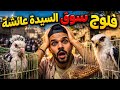 دخلت أخطر سوق في مصر وشفت كائنات غريبة جد ا 