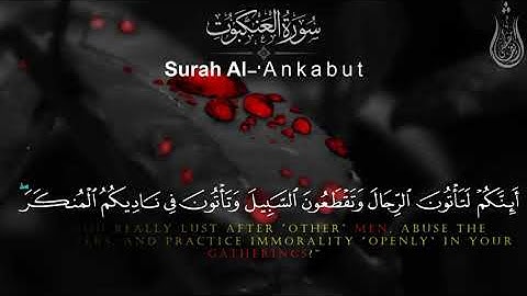 29 Surah Al Ankabut Qari Sherif Mostafa  #Quran Complete –سورة العنكبوت كاملة – شريف مصطفى