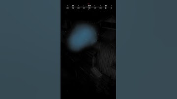 Hunt: Showdown Stalker Beetle Facestab ALWAYS use your drone in a safe area! #shorts