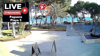 🌞 🌊 Live Webcam Playa Tora Restaurant Playa 5 Paguera 4K #Balearics #Mallorca #Livestream #live