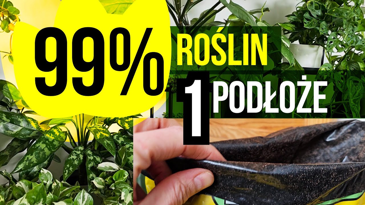 Najprostsze podłoże do uprawy roślin w domu