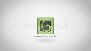 Fast Logo Stinger (After Effects Template)