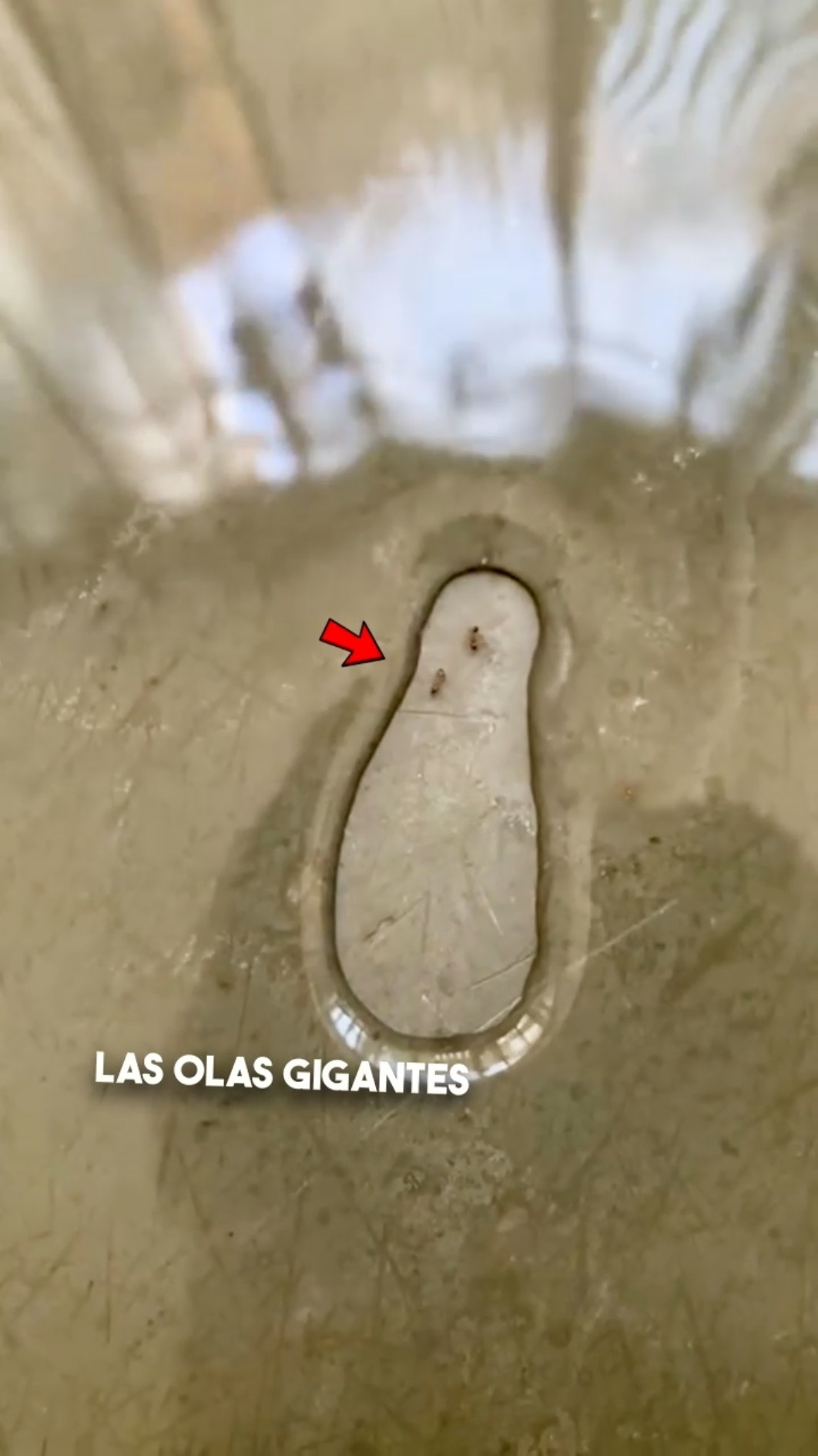 El sacrificio más triste por amor eterno ?❤️