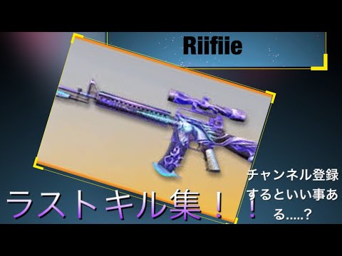 【荒野行動】最後のキル集！！M16でキル＆ダウン50連発！？