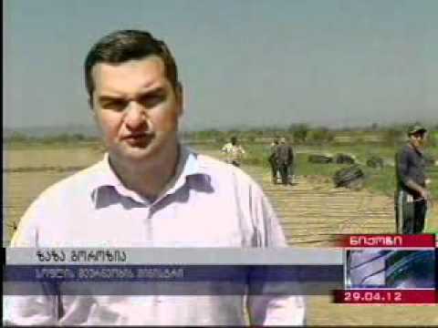 ზაზა გოროზია ქვემო ნიქოზში