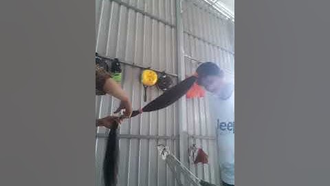 Cắt  tóc mái tóc dài  1m2 của cô bé chỉ 1 nhát kéo