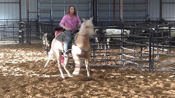 Ten Karat Kat - Kit-Kat - sorting practice 1 - Valley View Ranch