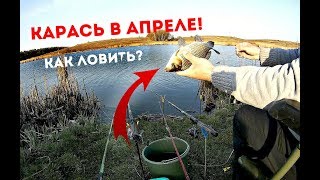 Как правильно ловить карася в апреле?