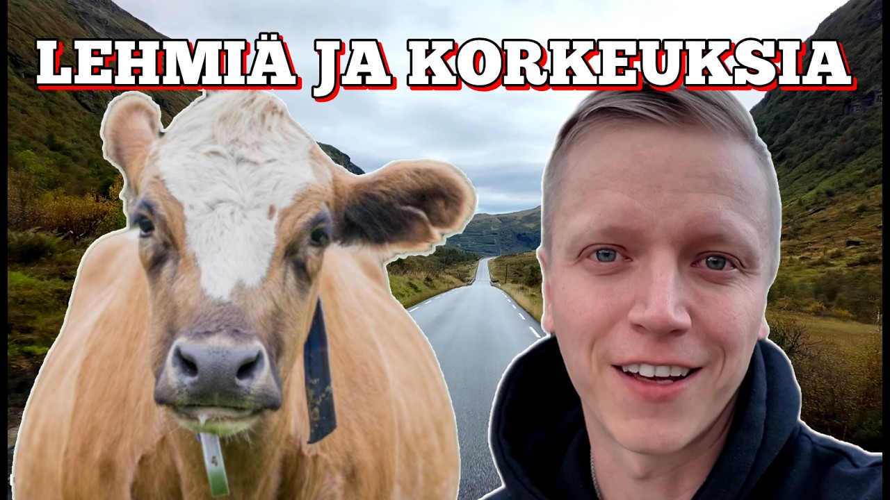 PUSKASSA YLI 1000 METRISSÄ!! | MATKIKSELLA ETELÄ- JA KESKI-NORJAAN OSA 5