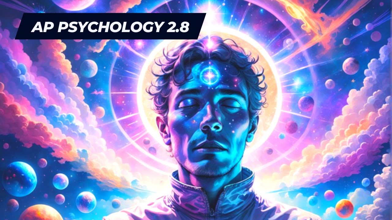 Neuroplasticity and Drugs (AP Psychology Unit 2.8)