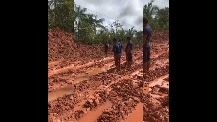 Br 319 - Tráfego bem complicado!