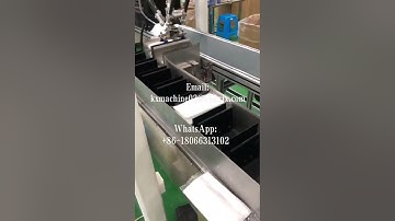 Disposable Surgical Face Mask Carton Packing Machine Mask Automatic Counting Robot Loading
