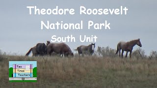 Theodore Roosevelt National Park South Unit by Two Tired Teachers 307 views 2 days ago 12 minutes, 4 seconds
