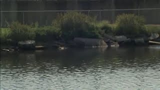 Sewage leaking into Galveston water after Labor Day rain